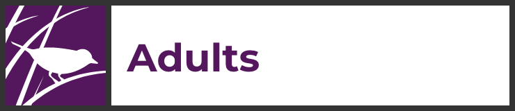 Adults landing page hover link