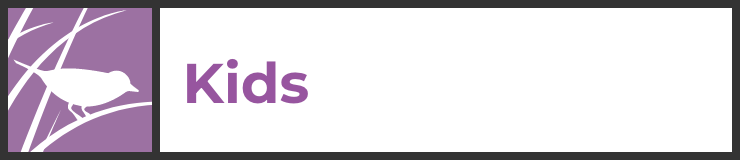Kids landing page link
