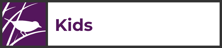 Kids landing page hover link