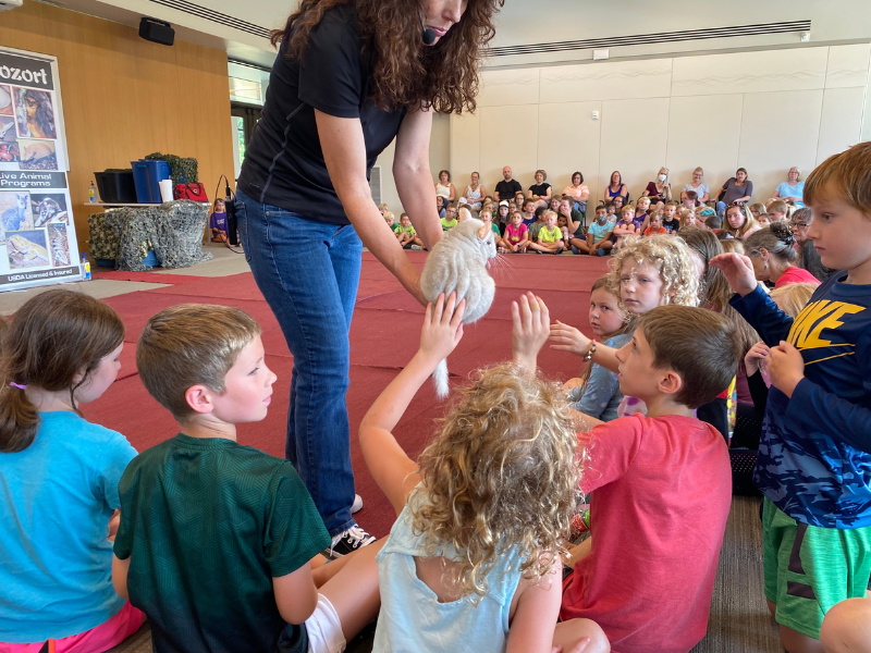 A person holding a chinchilla for children to pet