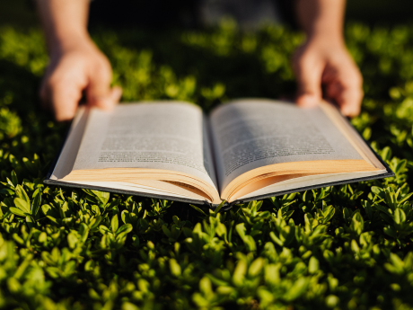 Open book on grass