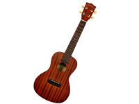 Ukulele musical instrument library of things