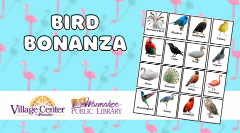 Bird Bonanza