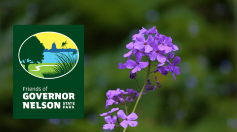 Friends of Governor Nelson State Park logo on photo of a flower