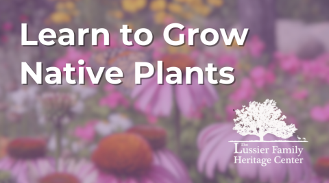 Learn to Grow Native Plants