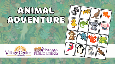 Animal Adventure